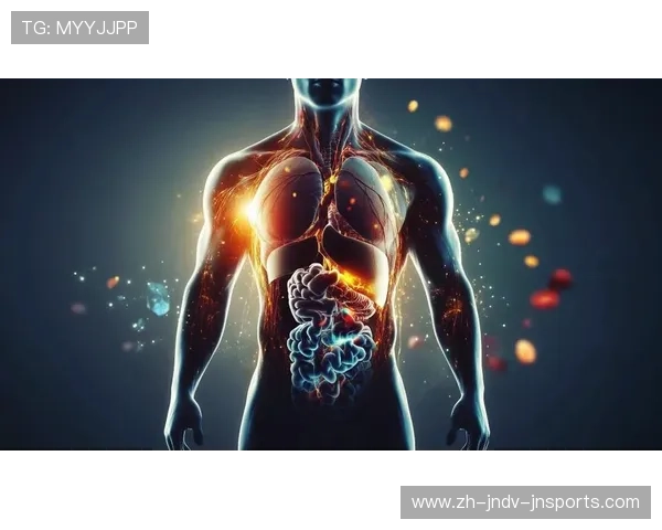 高强度训练如何提高新陈代谢与脂肪燃烧