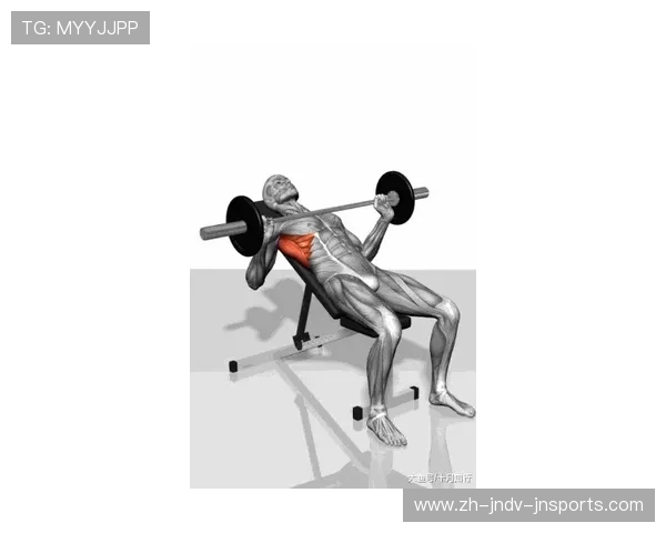 健身器材中杠铃杠类型与适合项目的详细分类